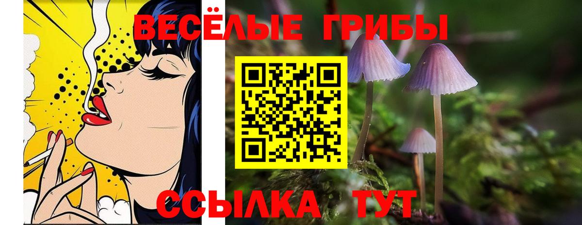 Клинцы  цены наркотик  Галлюциногенные грибы Magic Shrooms  Вход с VPN  Галлюциногенные грибы Psilocybine cubensis 