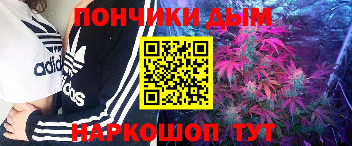 Конопля индика  Вход с VPN  Канабис VHQ  Бошки марихуана конопля  Марихуана White Widow  Клинцы 